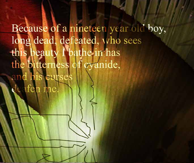 Rimbaud's Curse 1