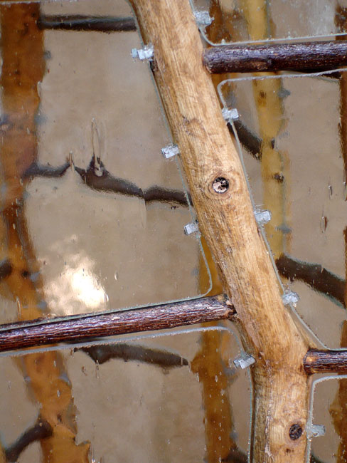 Glass and Sticks view 19