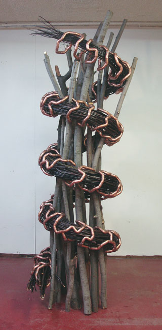 Coil view 1