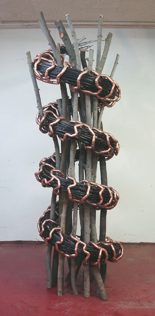 Coil view 2