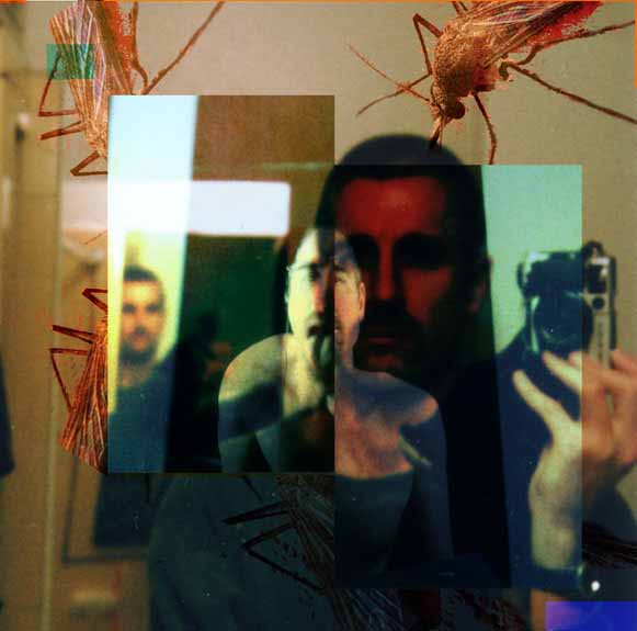 insects in 1
