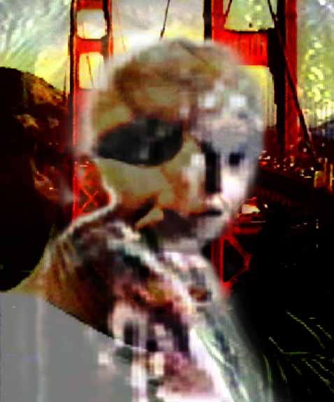 go back to gallery