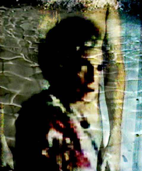go back to gallery