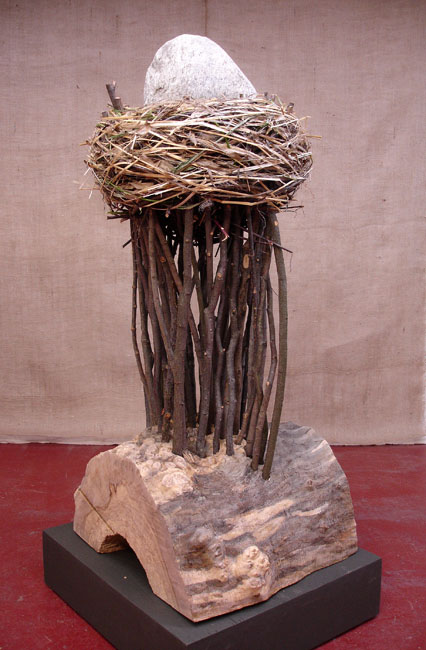 Rock Nest view 6