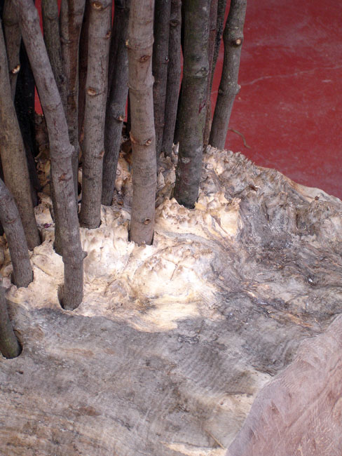 Rock Nest view 10