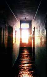 teleology