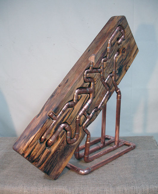 Worm in the Wood, Diagonal view 3