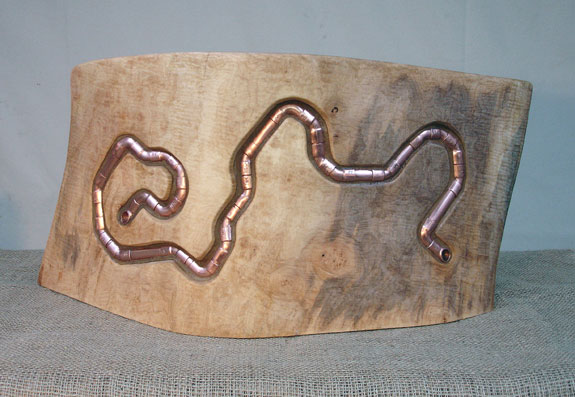 Worm in the Wood  view 3