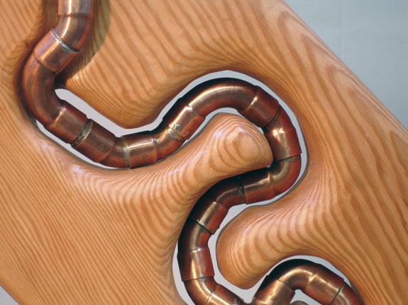 Worm in the Wood #3 view 5