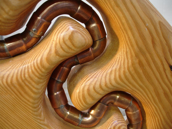 Worm in the Wood #3 view 6
