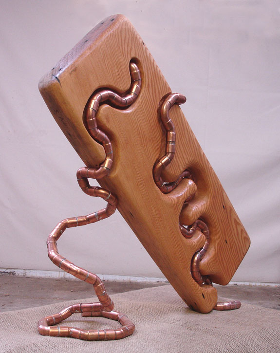Worm in the Wood #3 view 11