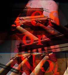 yes_no 204
