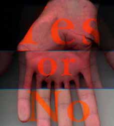 yes_no 20