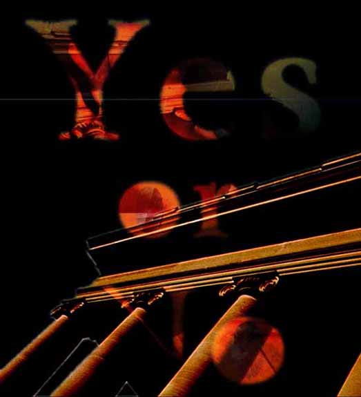 yes_no210