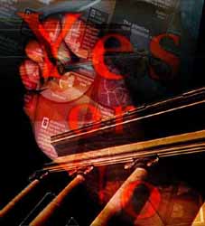 yes_no 212